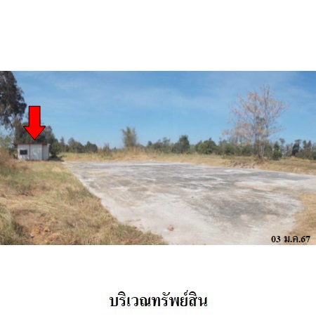 อื่นๆ อำนาจเจริญ เมืองอำนาจเจริญ สร้างนกทา 4660000
