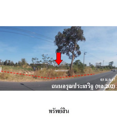 อื่นๆ อำนาจเจริญ เมืองอำนาจเจริญ สร้างนกทา 4660000