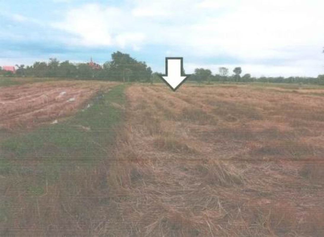 Residential land/lot Nakhon Ratchasima Bua Yai Huai Yang 429280