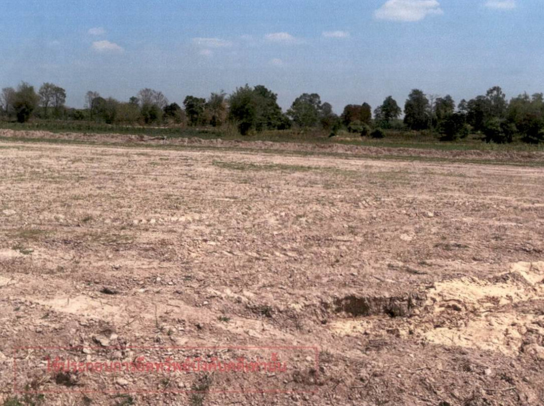 Residential land/lot Kalasin Kuchinarai Nakham 185000