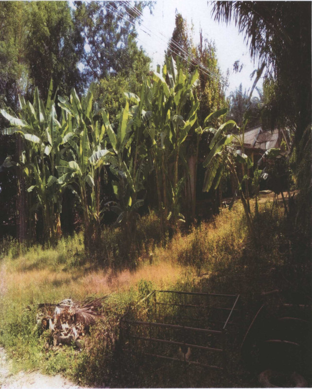 Residential land/lot Krabi Khao Phanom Na Khao 128300