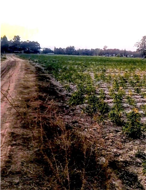 Residential land/lot Kalasin Somdet Nong Waeng 375240