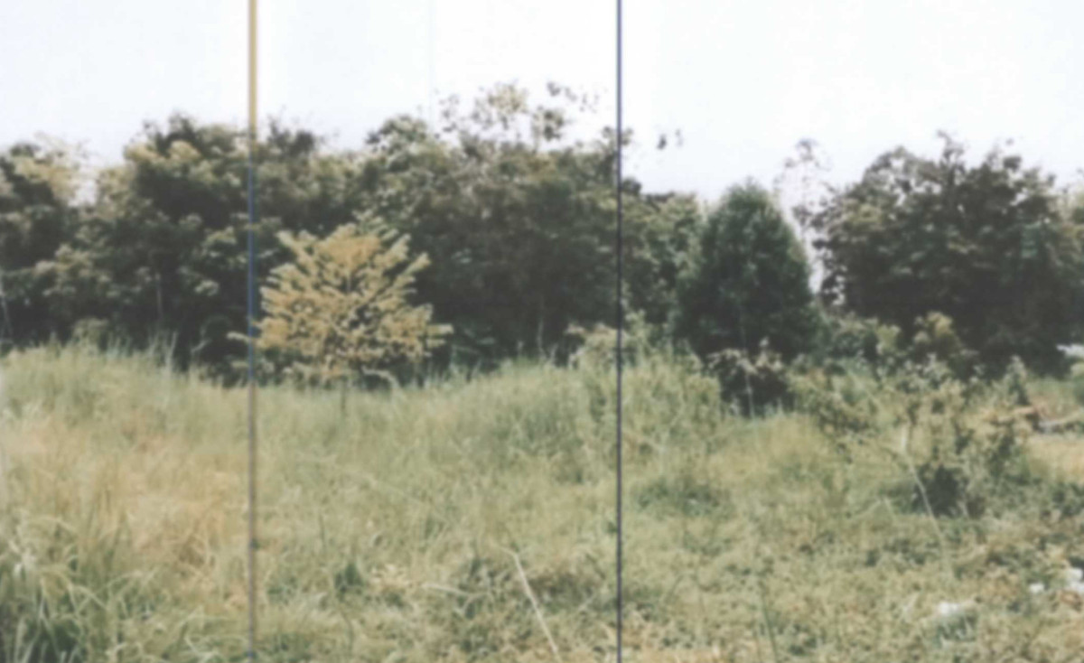 Residential land/lot Nakhon Phanom Sri Songkhram Tha Bo Songkhram 80100