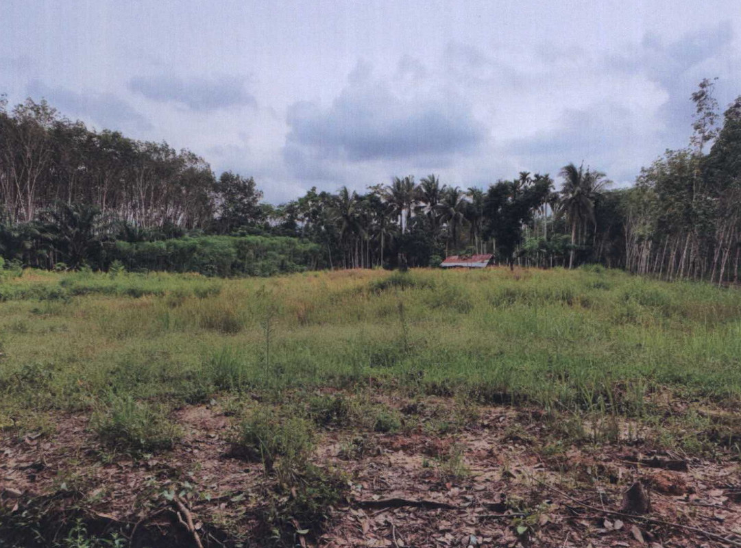 Residential land/lot Nakhon Si Thammarat Na Bon Thung Song 123000