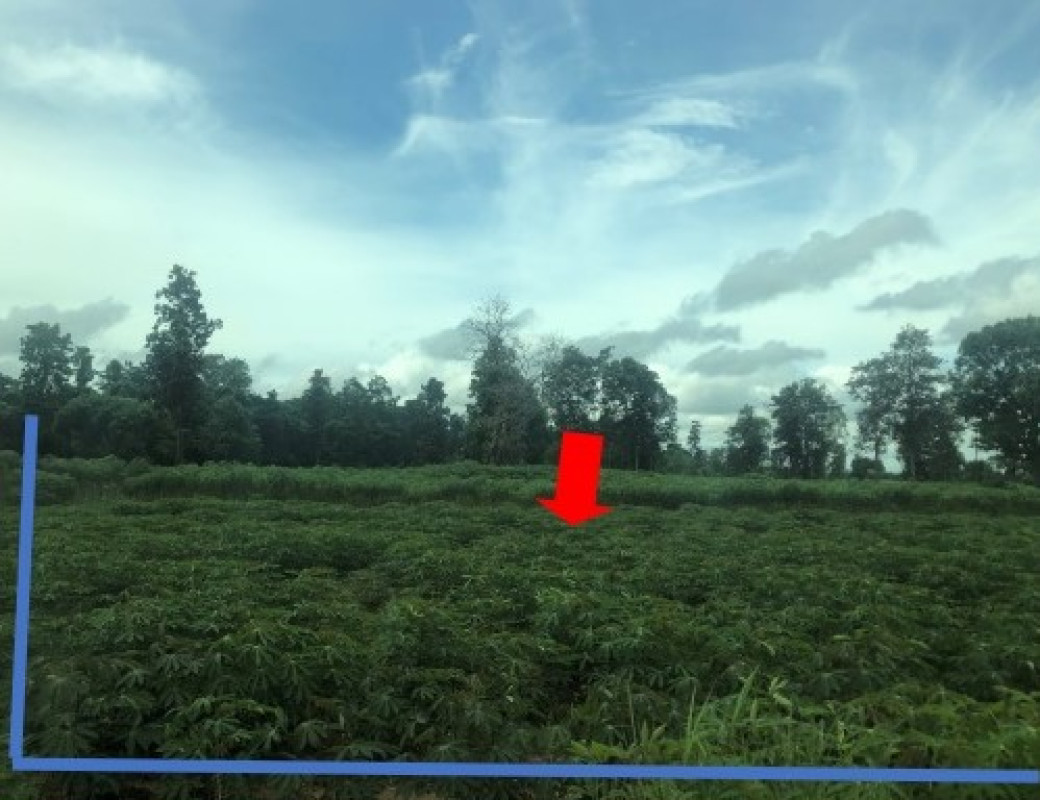 ที่ดินเปล่า กาฬสินธุ์ สามชัย สำราญ 1132000