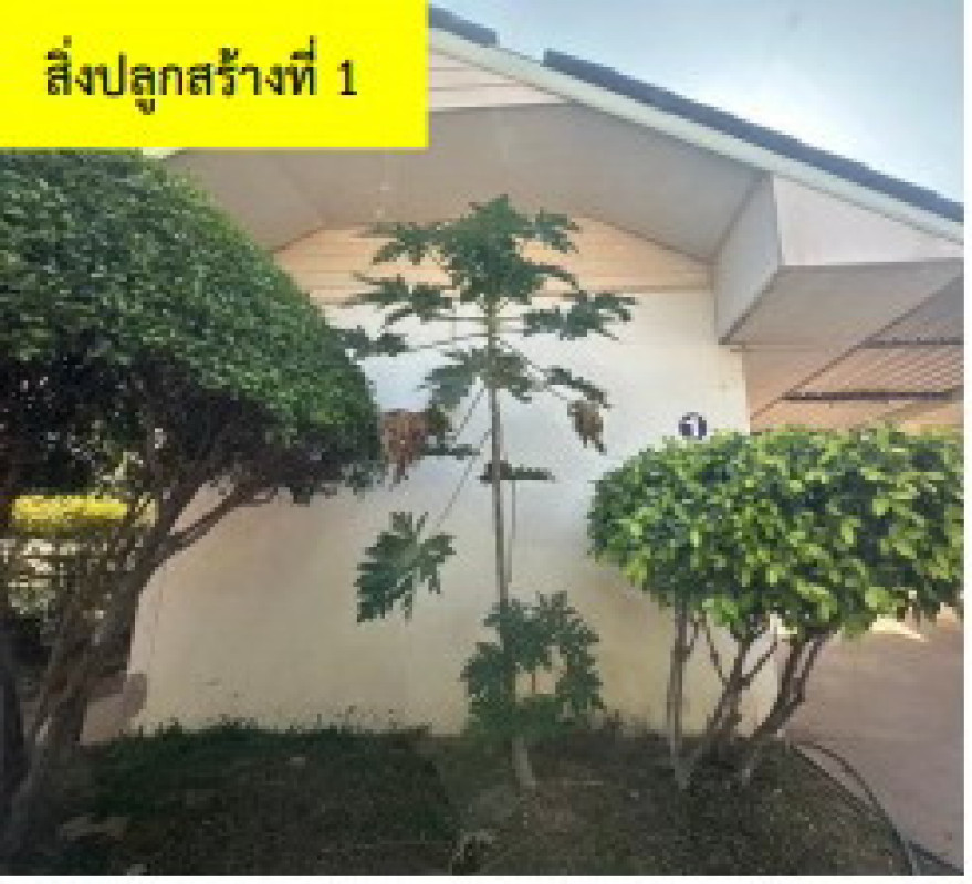 บ้านเดี่ยว กาฬสินธุ์ หนองกุงศรี ลำหนองแสน 3458000