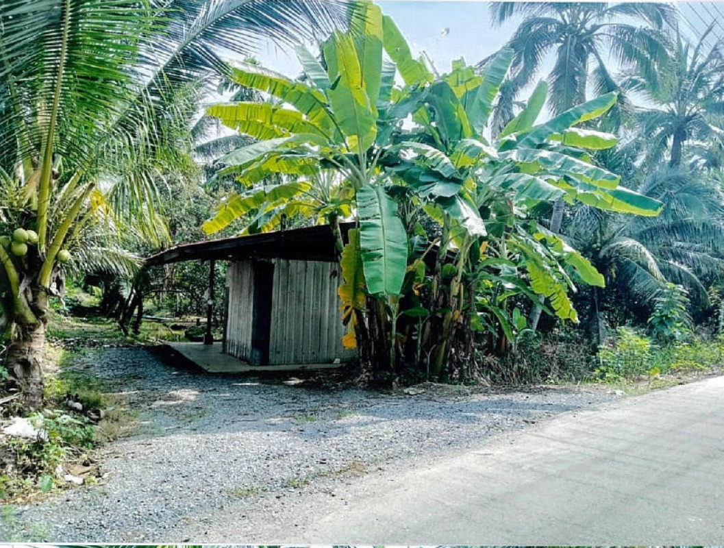 บ้านเดี่ยว นครปฐม สามพราน ไร่ขิง 4078050