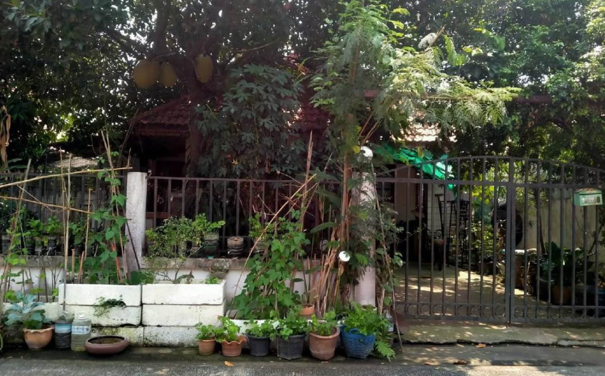 บ้านเดี่ยว เชียงใหม่ สันกำแพง ต้นเปา 773450