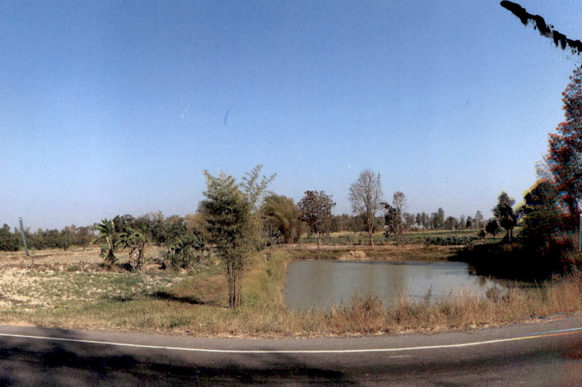 Residential land/lot Kalasin Sahatsakhan Na Makhuea 1157220