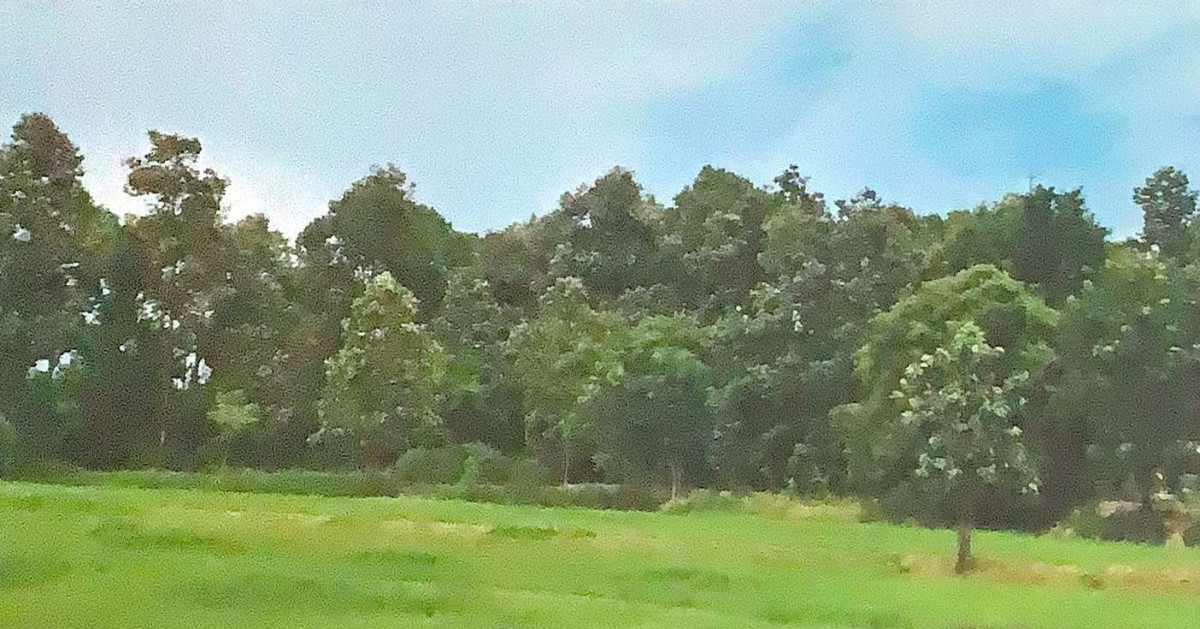 Residential land/lot Maha Sarakham Wapi Pathum Nong Saen 60000