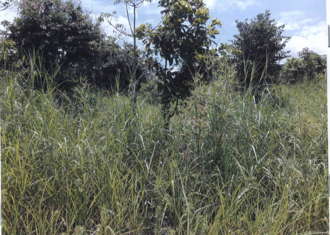 Residential land/lot Prachin Buri Kabin Buri Na Khaem 39200