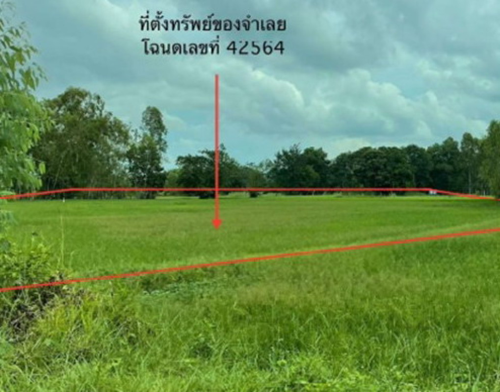 Residential land/lot Nakhon Phanom Renu Nakhon Phon Thong 18000