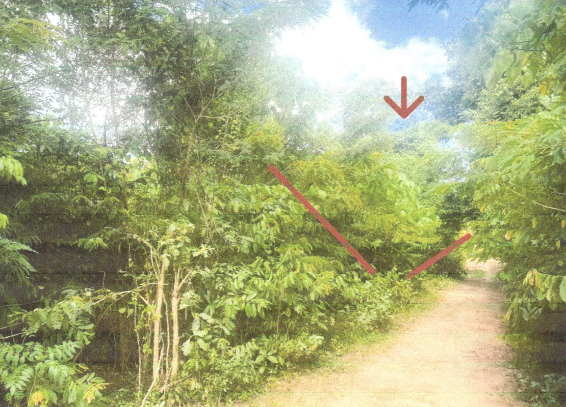 ที่ดินเปล่า ชุมพร ปะทิว สะพลี 57600