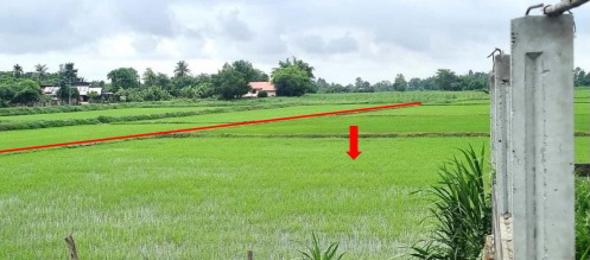 ที่ดินเปล่า กาฬสินธุ์ หนองกุงศรี ลำหนองแสน 312000
