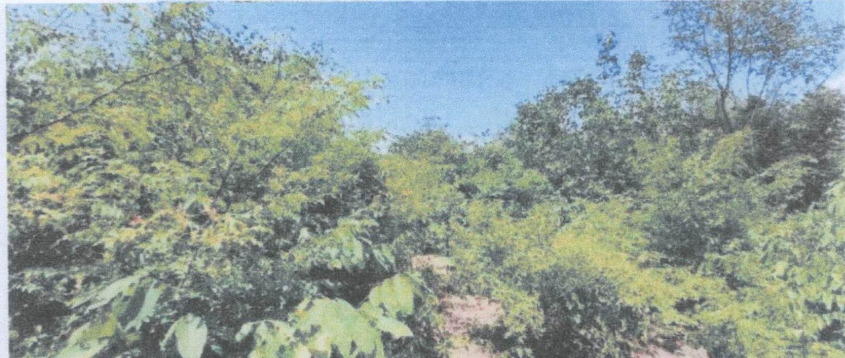 Residential land/lot Lampang Ko Kha Na Saeng 670000