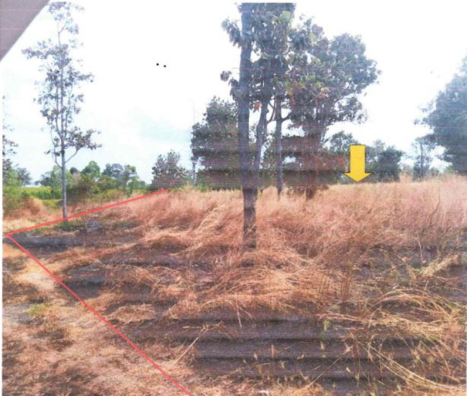 Residential land/lot Ubon Ratchathani Na Yia Na Di 320619
