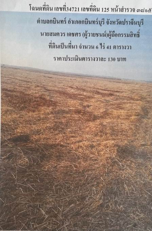 Residential land/lot Prachin Buri Kabin Buri Kabin 317330