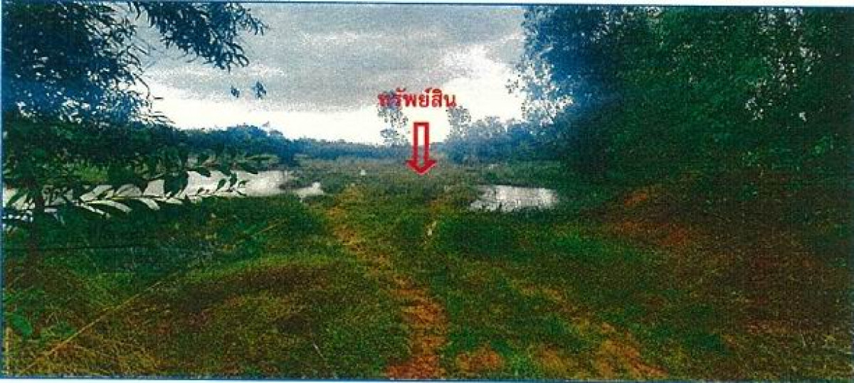 Residential land/lot Prachin Buri Kabin Buri Mueang Kao 1396750