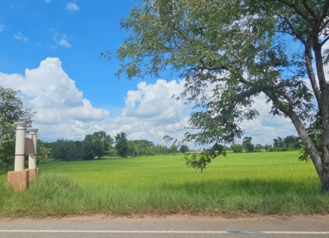 ที่ดินเปล่า กาฬสินธุ์ ยางตลาด ยางตลาด 400000