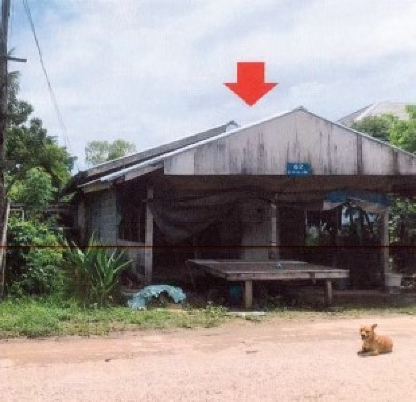 บ้านเดี่ยว กาฬสินธุ์ เมืองกาฬสินธุ์ ไผ่ 550000
