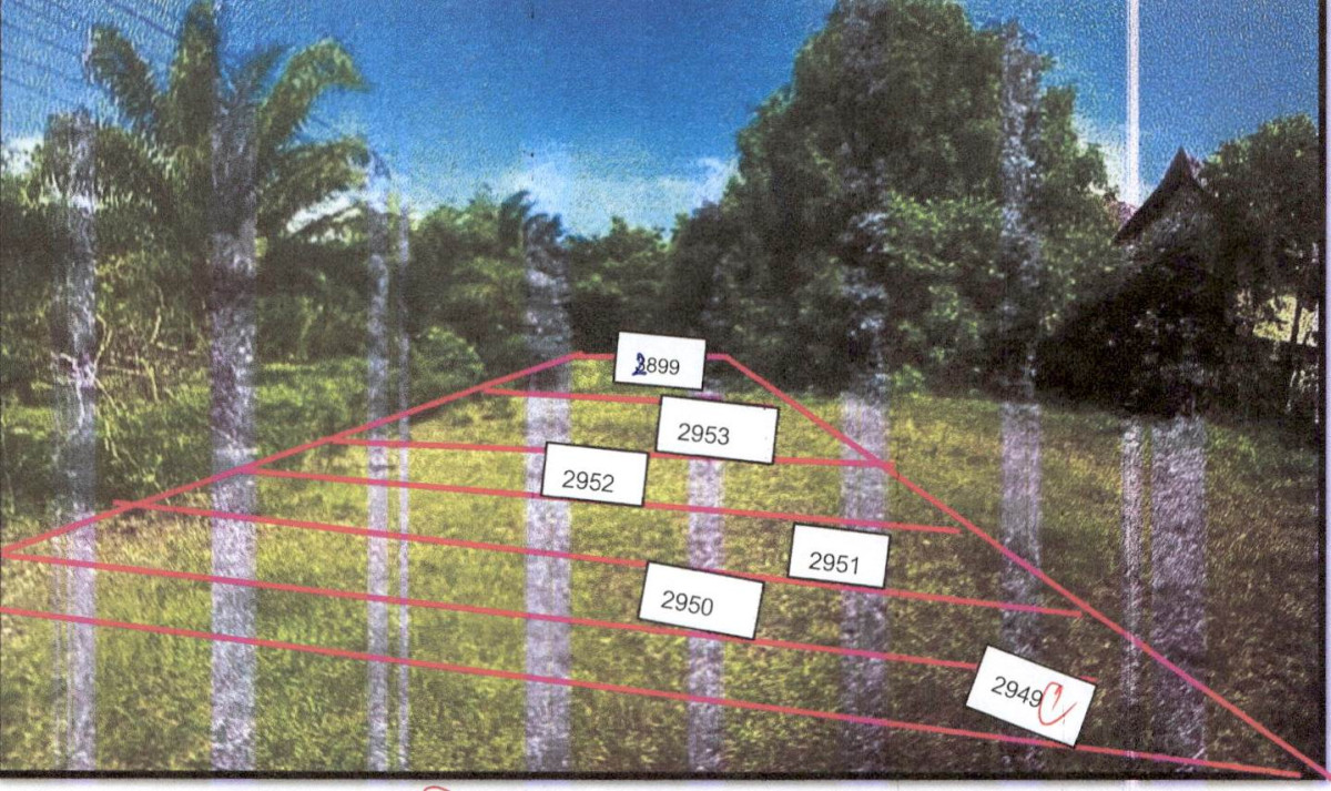 Residential land/lot Krabi Ko Lanta Sala Dan 17280
