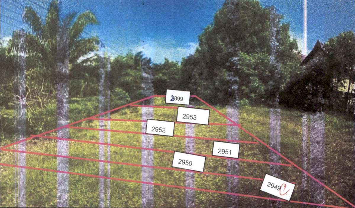 Residential land/lot Krabi Ko Lanta Sala Dan 32000