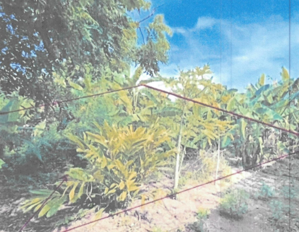 Residential land/lot Chai Nat Sankhaburi Pho Ngam 68265