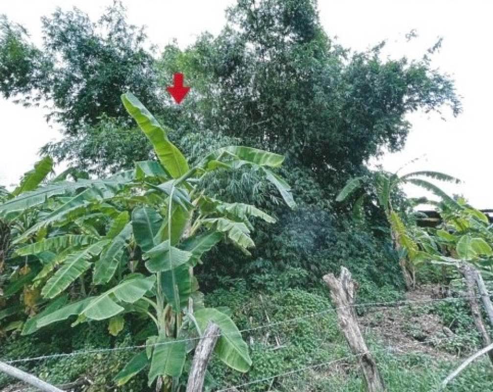ที่ดินเปล่า มหาสารคาม แกดำ หนองกุง 78200