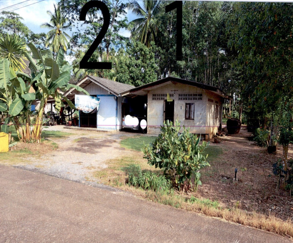 บ้านเดี่ยว สุราษฎร์ธานี บ้านตาขุน เขาพัง 888920