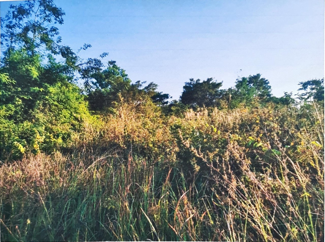 ที่ดินเปล่า อุบลราชธานี เดชอุดม เมืองเดช 3600