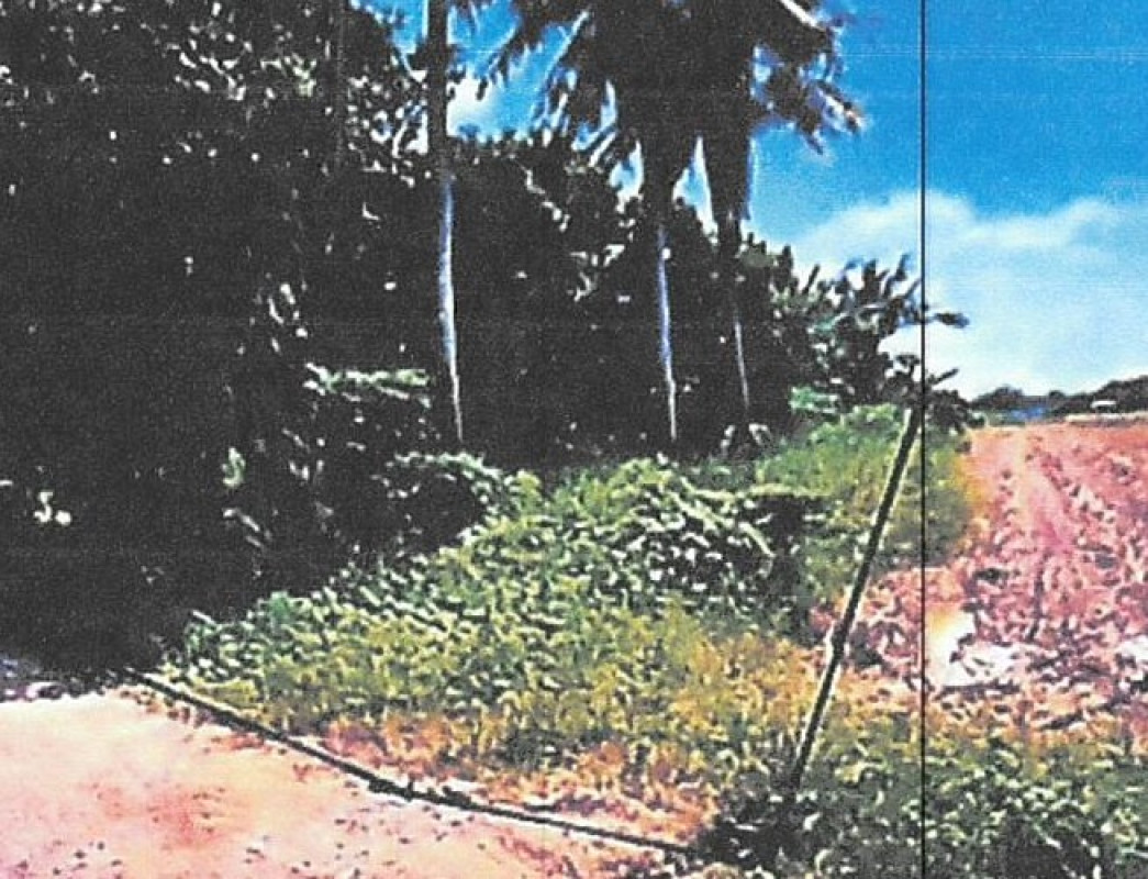 Residential land/lot Chai Nat Sankhaburi Bang Khut 140000