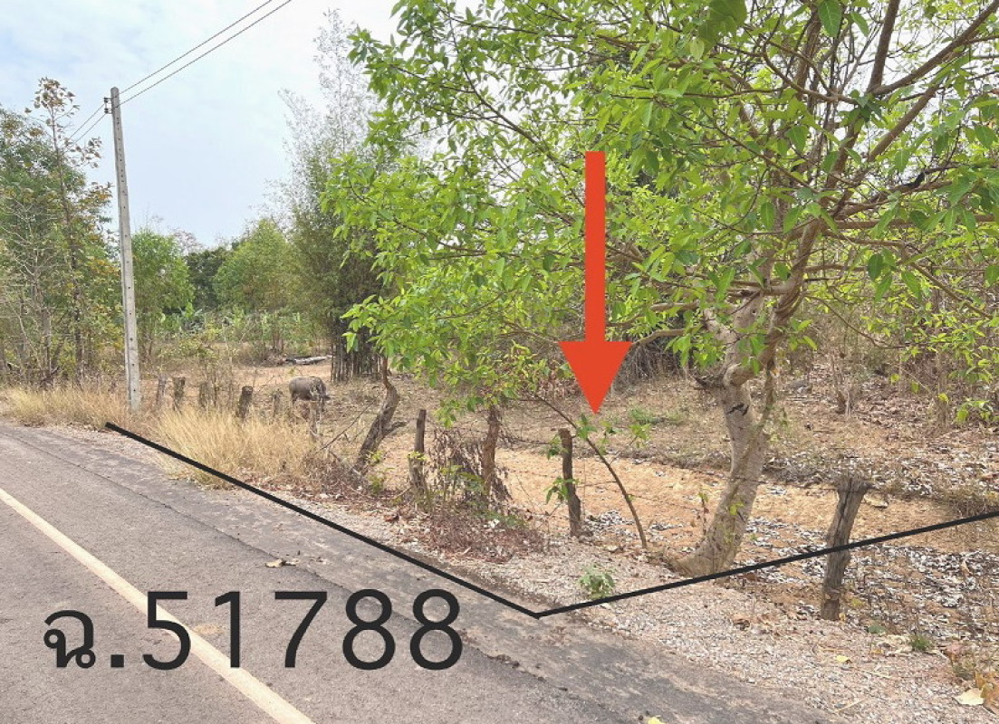 Residential land/lot Sakon Nakhon Phanna Nikhom Choeng Chum 166180
