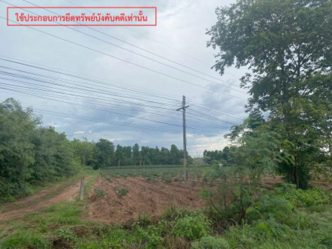 ที่ดินเปล่า กาฬสินธุ์ ท่าคันโท ท่าคันโท 300000