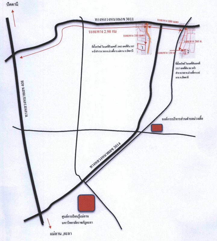 ที่ดินเปล่า ปัตตานี แม่ลาน ม่วงเตี้ย 273420