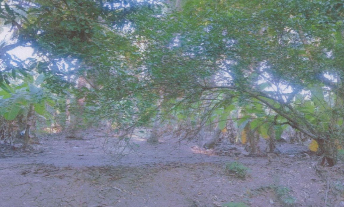Residential land/lot Samut Songkhram Bang Khonthi Bang Yi Rong 187550