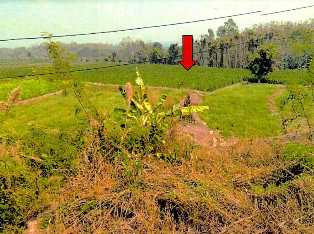Residential land/lot Lampang Chae Hom Pong Don 92200
