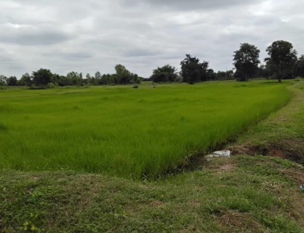 Residential land/lot Khon Kaen Phon Chot Nong Kae 155800