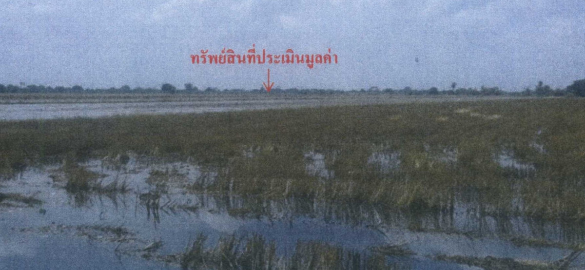 ที่ดินเปล่า กรุงเทพมหานคร ลาดกระบัง ลำปลาทิว 800000