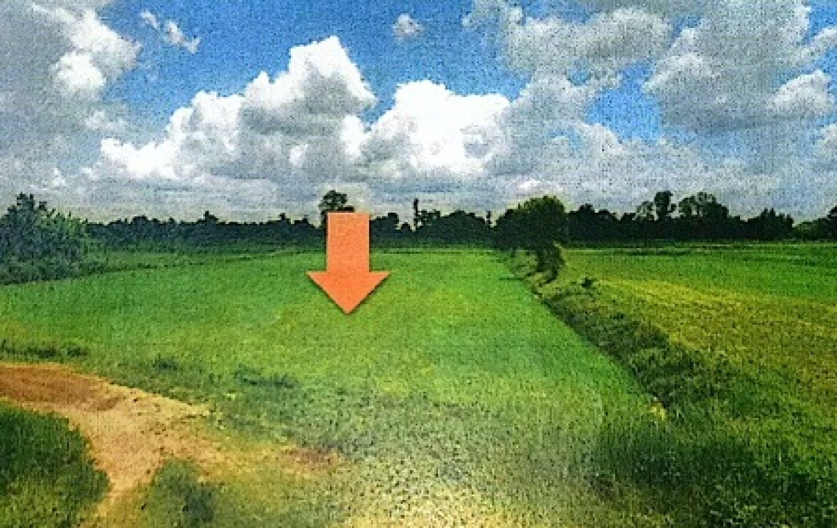 ที่ดินเปล่า ศรีสะเกษ โนนคูณ หนองกุง 74550