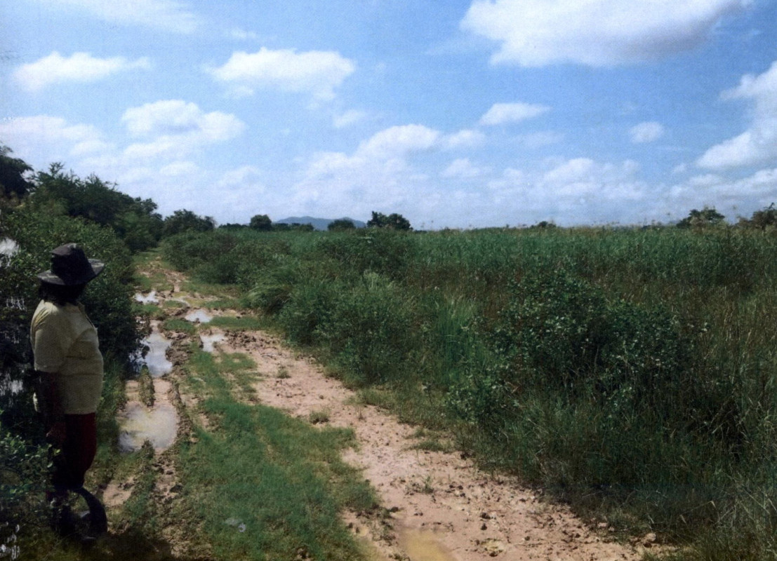 Residential land/lot Prachuap Khiri Khan Pran Buri Wang Phong 153600