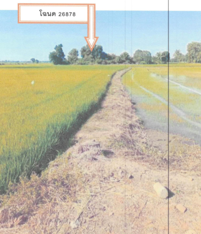 Residential land/lot Chai Nat Mueang Chai Nat Chai Nat 86400