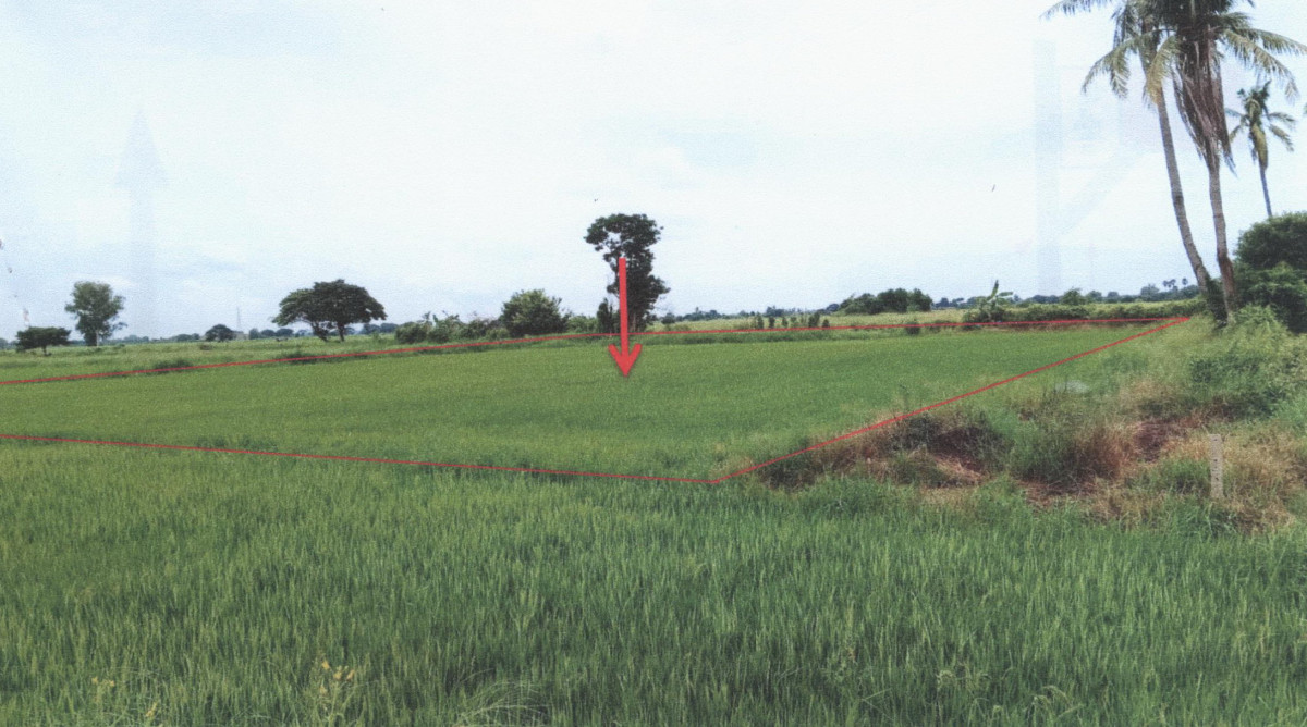 Residential land/lot Phra Nakhon Si Ayutthaya Phak Hai Ban Khae 252875