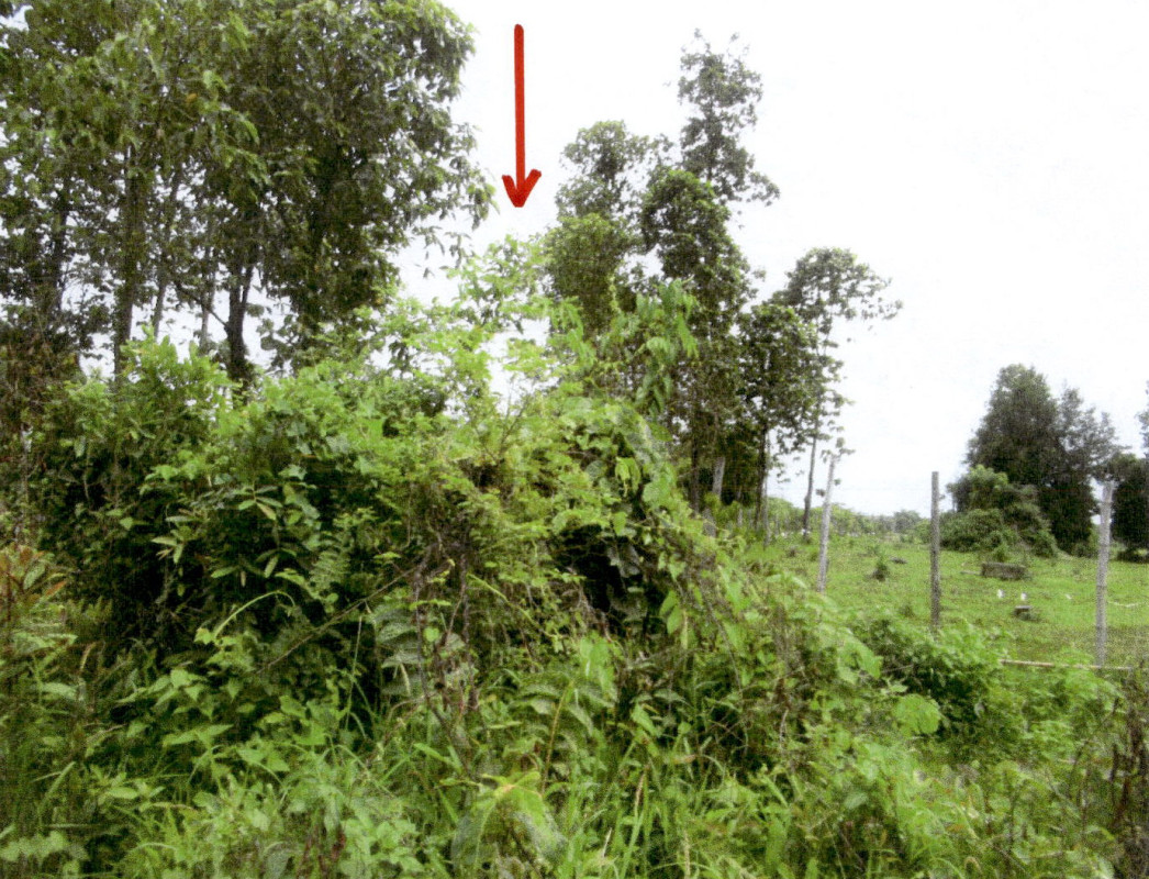 Residential land/lot Lampang Hang Chat Pong Yang Khok 339500