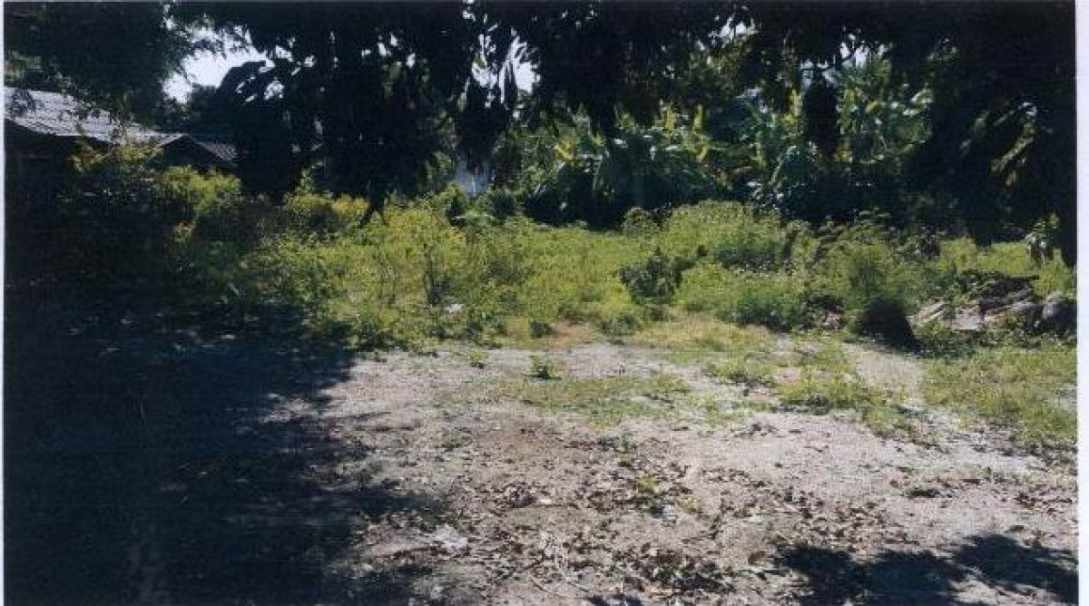 Residential land/lot Chiang Mai Hang Dong Nong Tong 224000