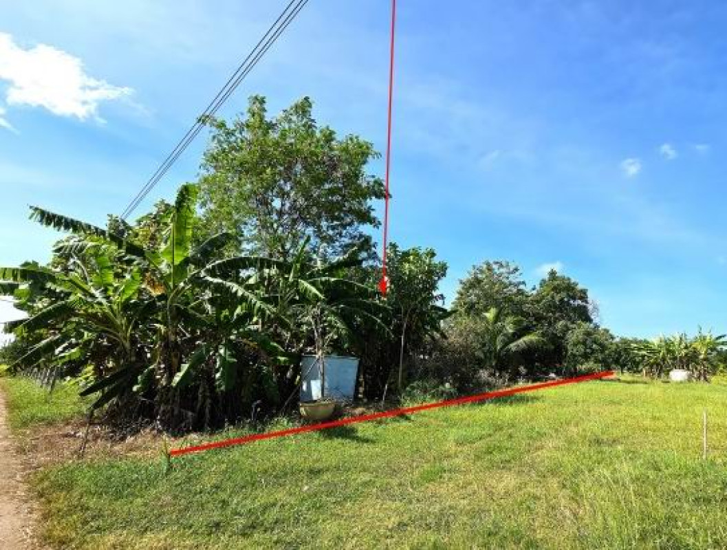 Residential land/lot Nakhon Ratchasima Khong Mueang Khong 35532
