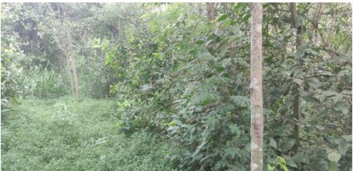 ที่ดินเปล่า ขอนแก่น เมืองขอนแก่น สาวะถี 109000