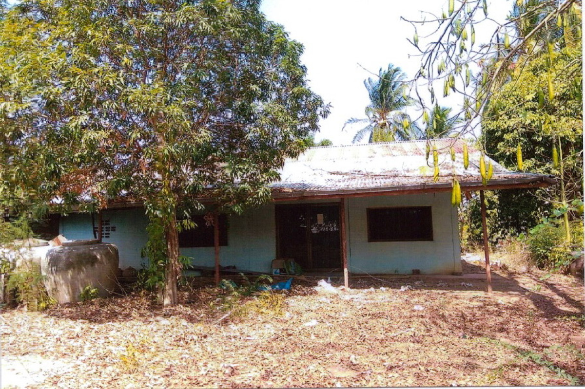 บ้านเดี่ยว หนองบัวลำภู ศรีบุญเรือง โนนสะอาด 331510