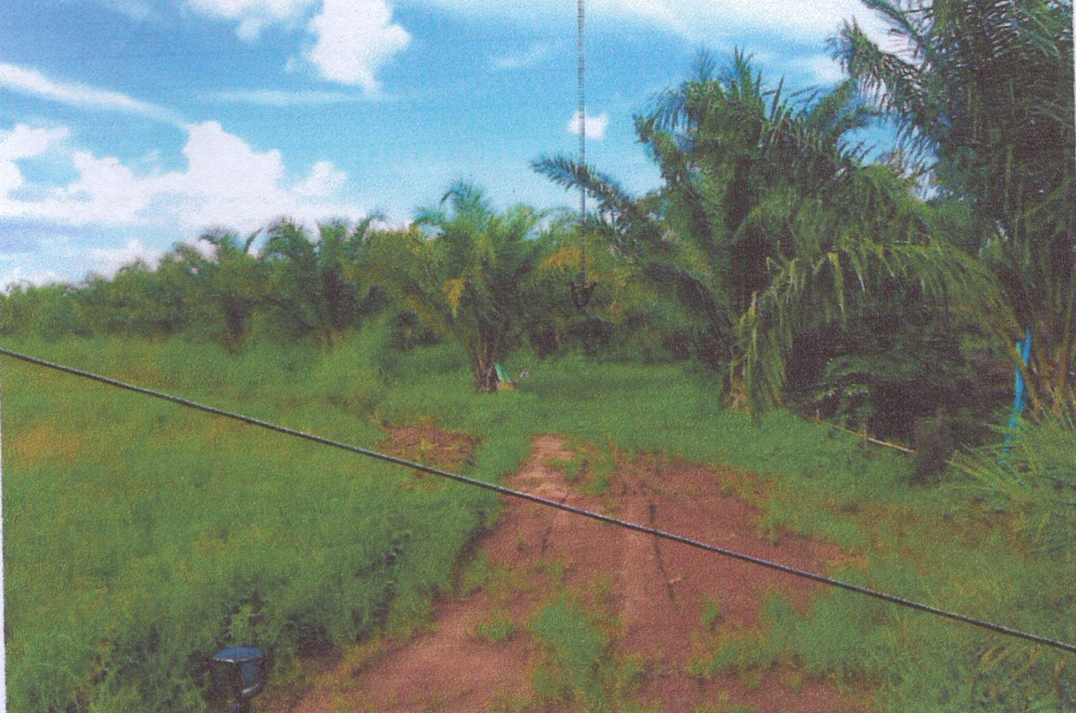 Residential land/lot Nong Bua Lam Phu Na Klang Kao Kloi 733900