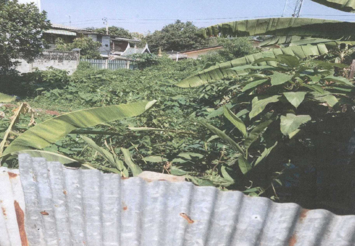 ที่ดินเปล่า นนทบุรี เมืองนนทบุรี บางเขน 359100