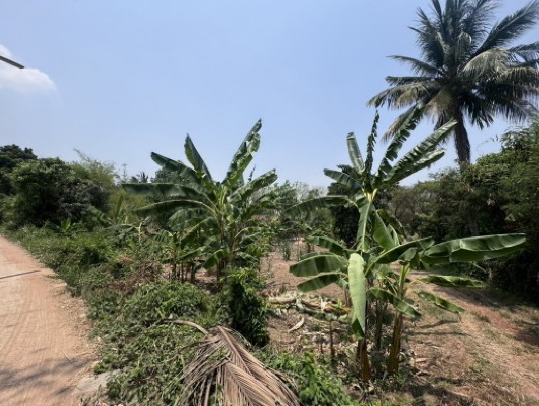 Residential land/lot Kalasin Tha Khantho Tha Khantho 89500
